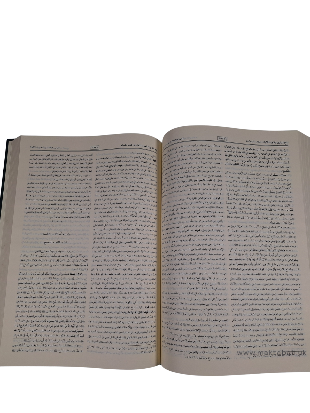فتح الباري شرح صحيح البخاري لابن حجر العسقلاني - الشرح كامل في مجلدين