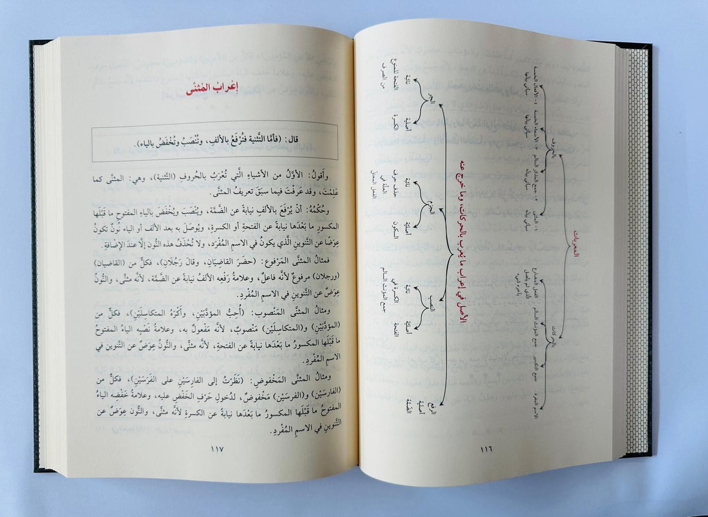 التحفة السنية بشرح المقدمة الآجرومية ويليه مبادئ الدروس العربية - محمد محيي الدين عبدالحميد