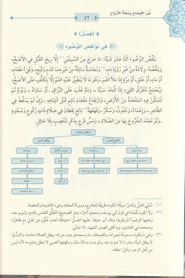 نور الإيضاح ونجاة الأرواح للشيخ حسن بن عمار بن علي الشرنبلالي مع تكملته منحة الفتاح في الزكاة والحج | دار المعروف - تركيا