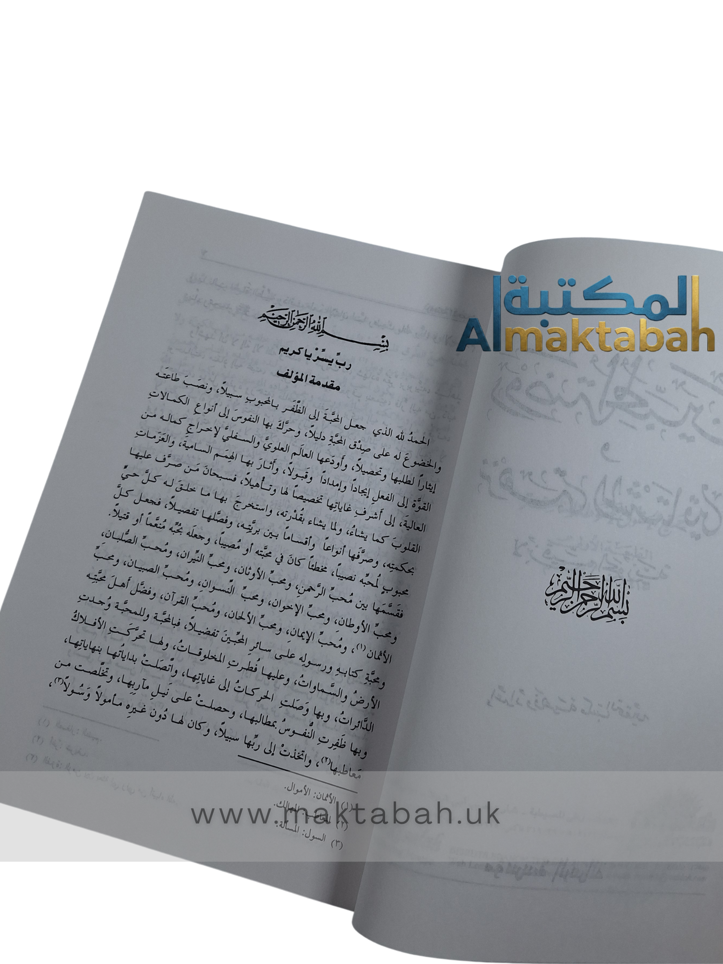 روضة المحبين ونزهة المشتاقين - شيخ الإسلام ابن القيّم